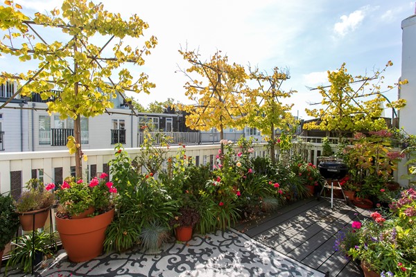 Medium property photo - Valeriusstraat 235-2, 1075 GA Amsterdam